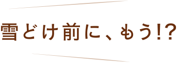 雪どけ前に、もう！？