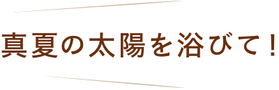 真夏の太陽を浴びて！