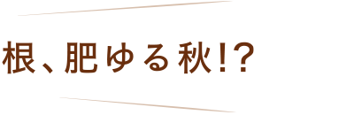 根、肥ゆる秋！？