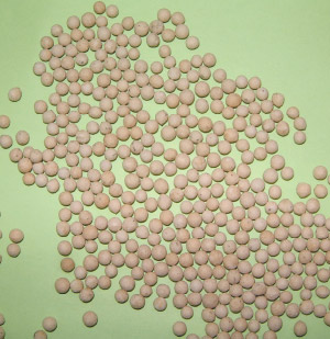 ペレット種子