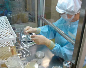 微生物検査