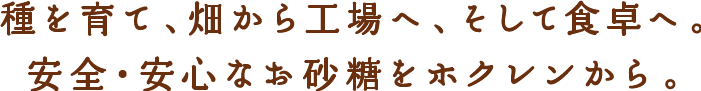 種を育て、畑から工場へ、そして食卓へ。安心・安全なお砂糖をホクレンから。